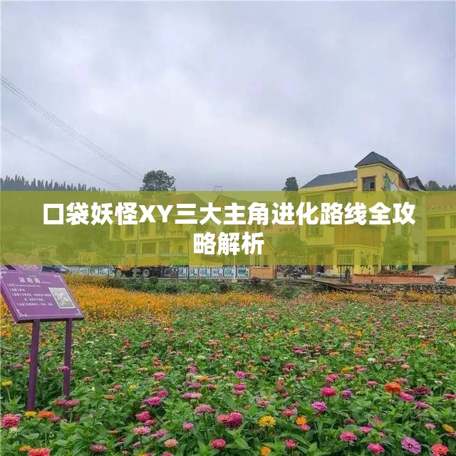 口袋妖怪XY三大主角进化路线全攻略解析