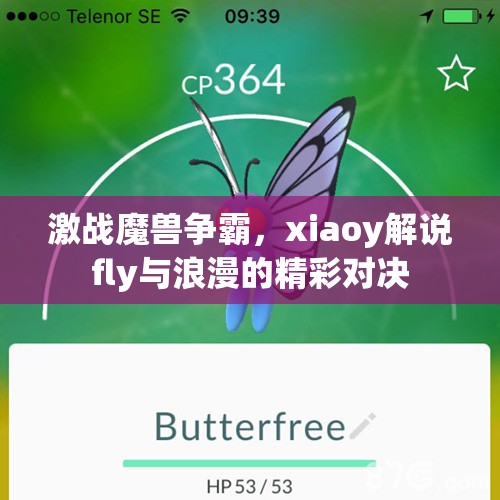 激战魔兽争霸，xiaoy解说fly与浪漫的精彩对决