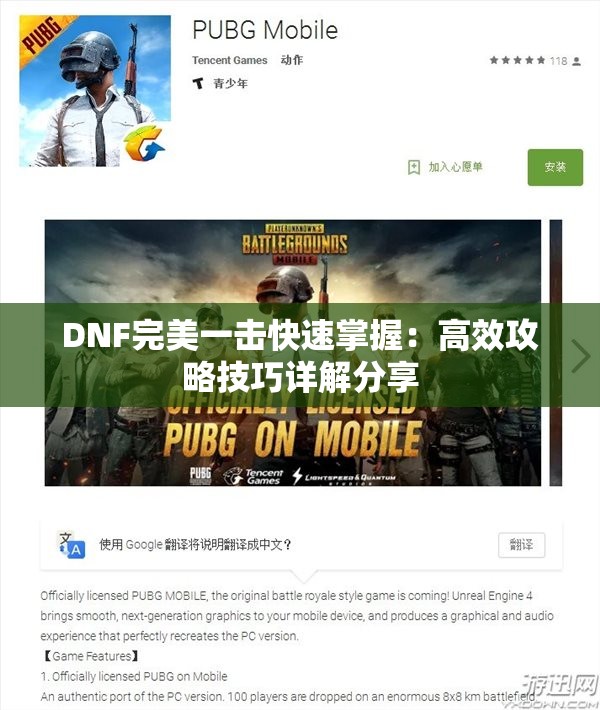 DNF完美一击快速掌握：高效攻略技巧详解分享