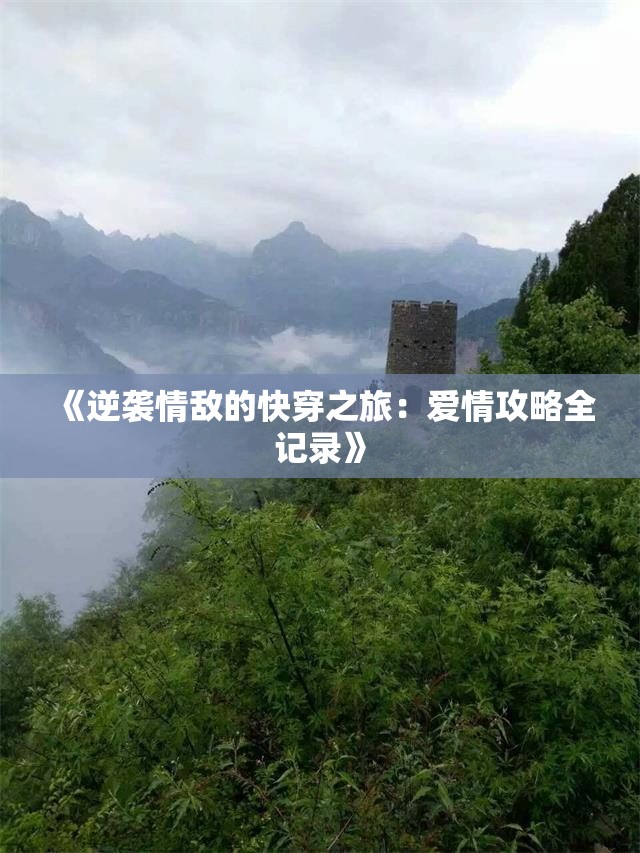 《逆袭情敌的快穿之旅：爱情攻略全记录》