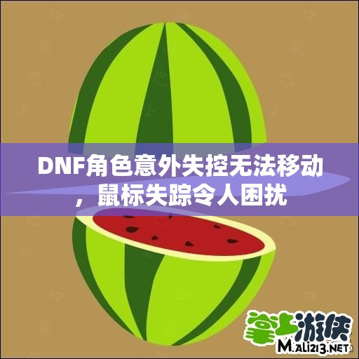 DNF角色意外失控无法移动，鼠标失踪令人困扰