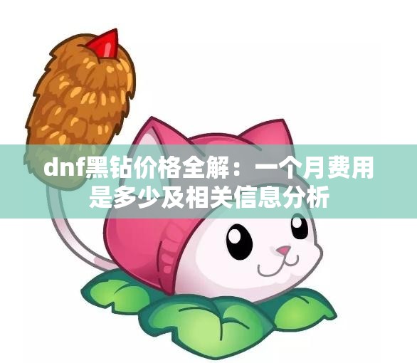 dnf黑钻价格全解：一个月费用是多少及相关信息分析