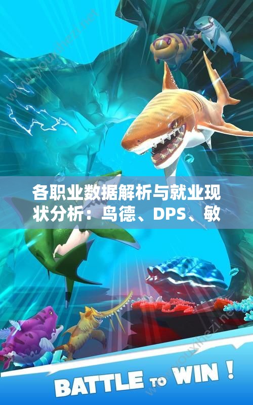 各职业数据解析与就业现状分析：鸟德、DPS、敏锐贼及狂暴战详解