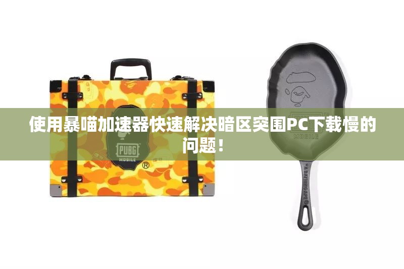 使用暴喵加速器快速解决暗区突围PC下载慢的问题！