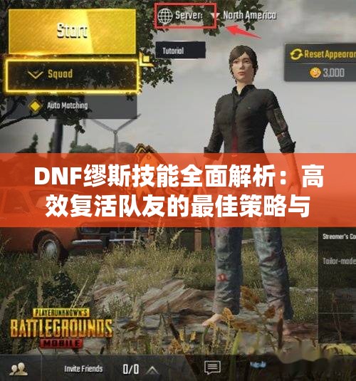 DNF缪斯技能全面解析：高效复活队友的最佳策略与技巧