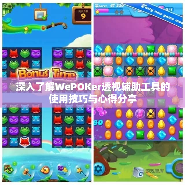 深入了解WePOKer透视辅助工具的使用技巧与心得分享