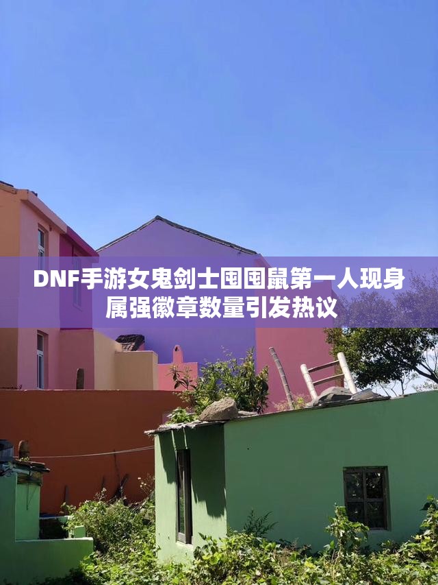 DNF手游女鬼剑士囤囤鼠第一人现身 属强徽章数量引发热议