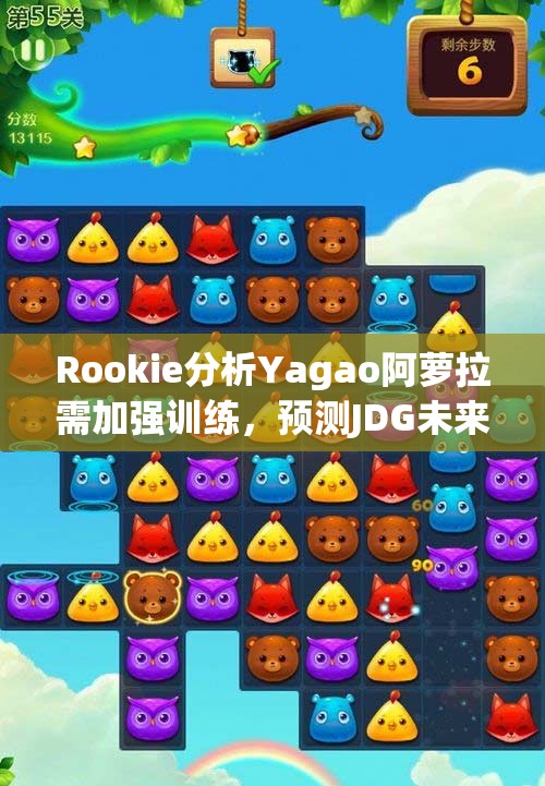 Rookie分析Yagao阿萝拉需加强训练，预测JDG未来打野策略