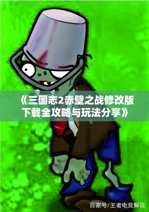 《三国志2赤壁之战修改版下载全攻略与玩法分享》