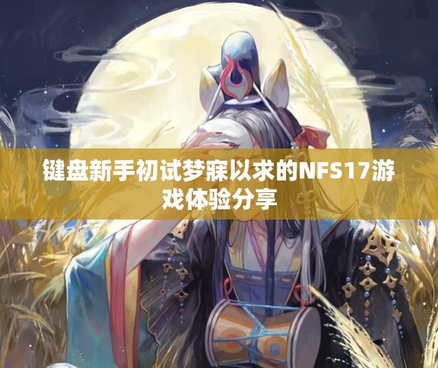 键盘新手初试梦寐以求的NFS17游戏体验分享