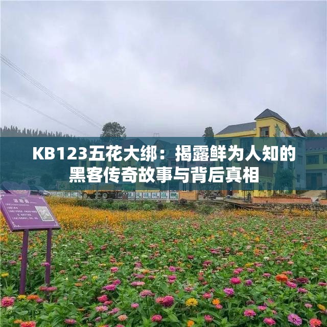 KB123五花大绑：揭露鲜为人知的黑客传奇故事与背后真相