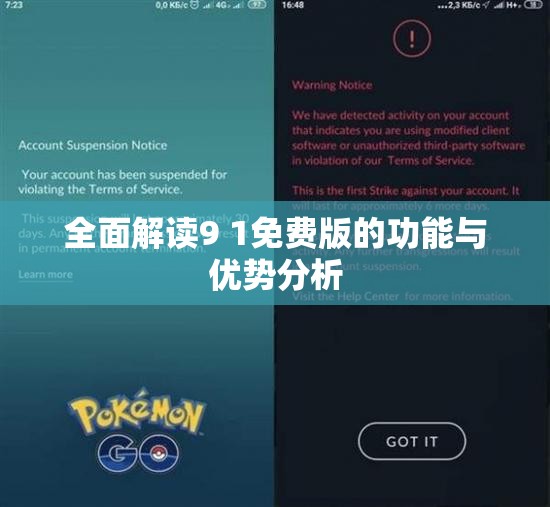 全面解读9 1免费版的功能与优势分析