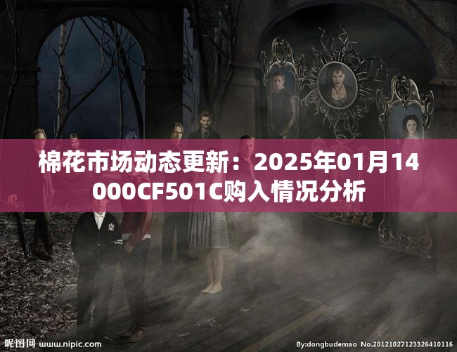 棉花市场动态更新：2025年01月14000CF501C购入情况分析