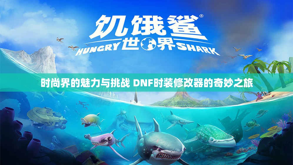 时尚界的魅力与挑战 DNF时装修改器的奇妙之旅