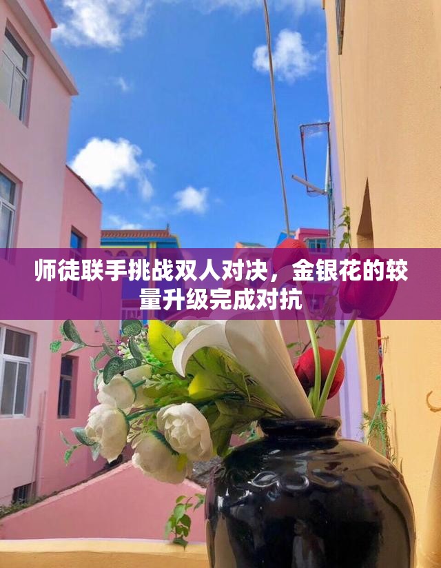 师徒联手挑战双人对决，金银花的较量升级完成对抗