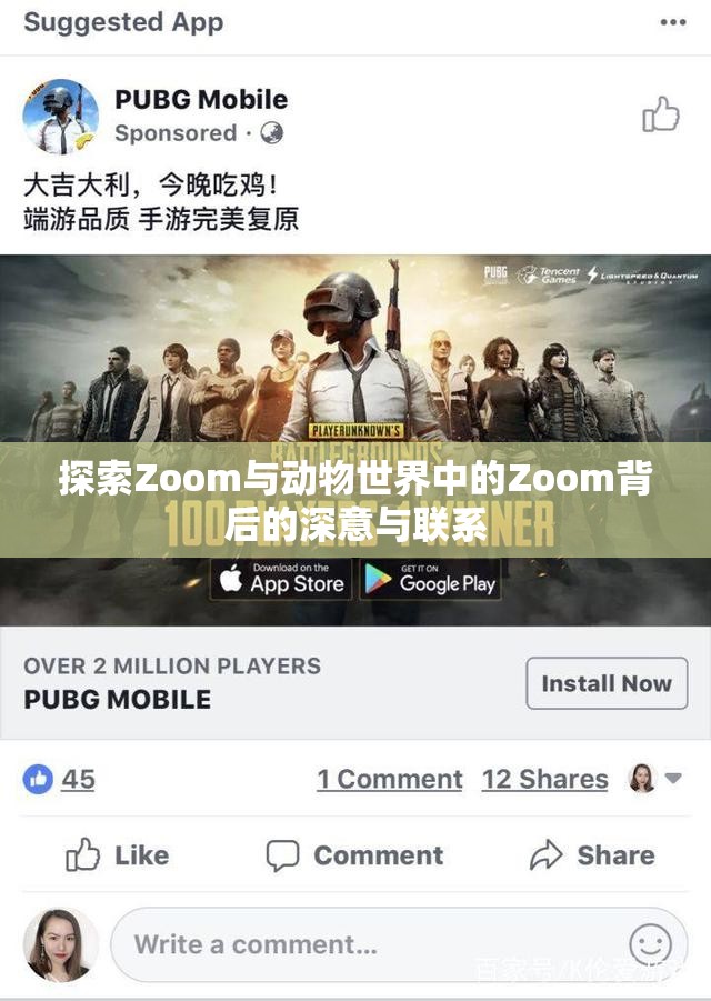 探索Zoom与动物世界中的Zoom背后的深意与联系