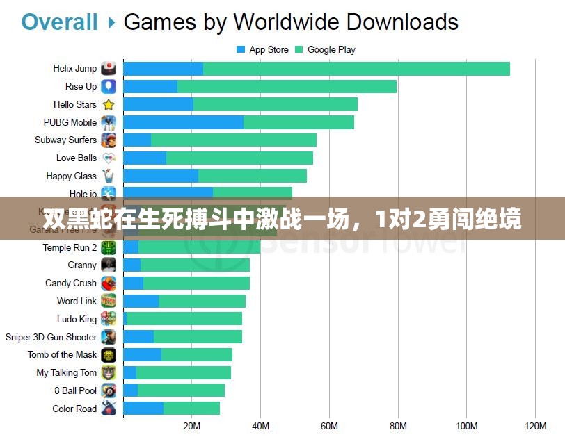 双黑蛇在生死搏斗中激战一场，1对2勇闯绝境