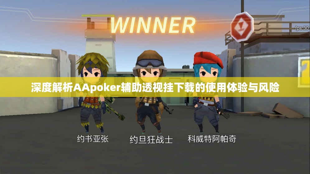 深度解析AApoker辅助透视挂下载的使用体验与风险