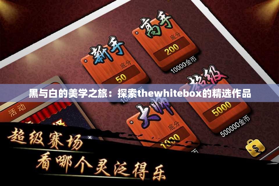 黑与白的美学之旅：探索thewhitebox的精选作品