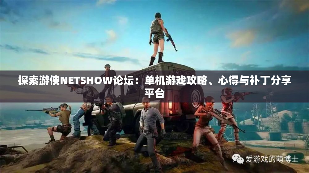 探索游侠NETSHOW论坛：单机游戏攻略、心得与补丁分享平台