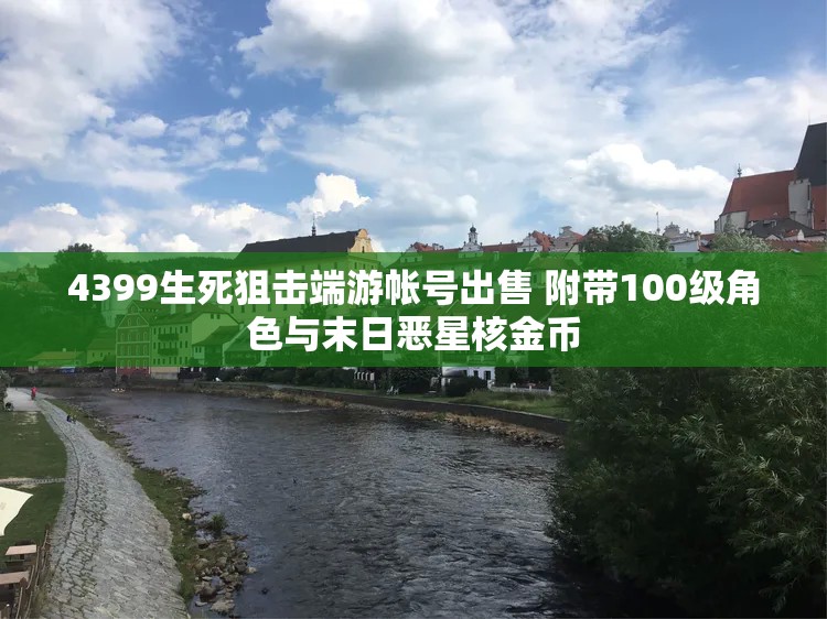 4399生死狙击端游帐号出售 附带100级角色与末日恶星核金币