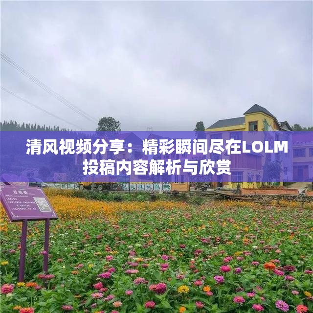 清风视频分享：精彩瞬间尽在LOLM投稿内容解析与欣赏