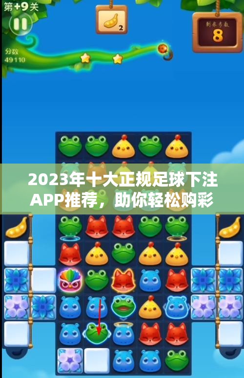 2023年十大正规足球下注APP推荐，助你轻松购彩体验