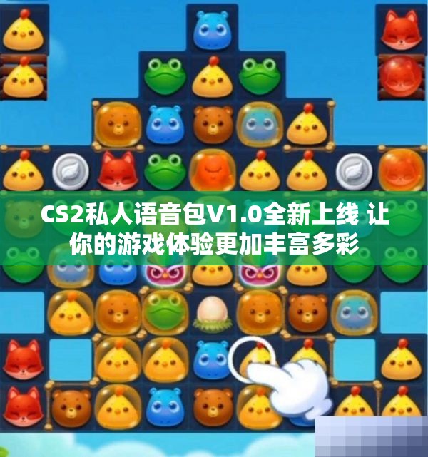 CS2私人语音包V1.0全新上线 让你的游戏体验更加丰富多彩